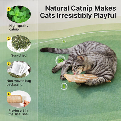 Petgrove Interactive Catnip Kicker Toy