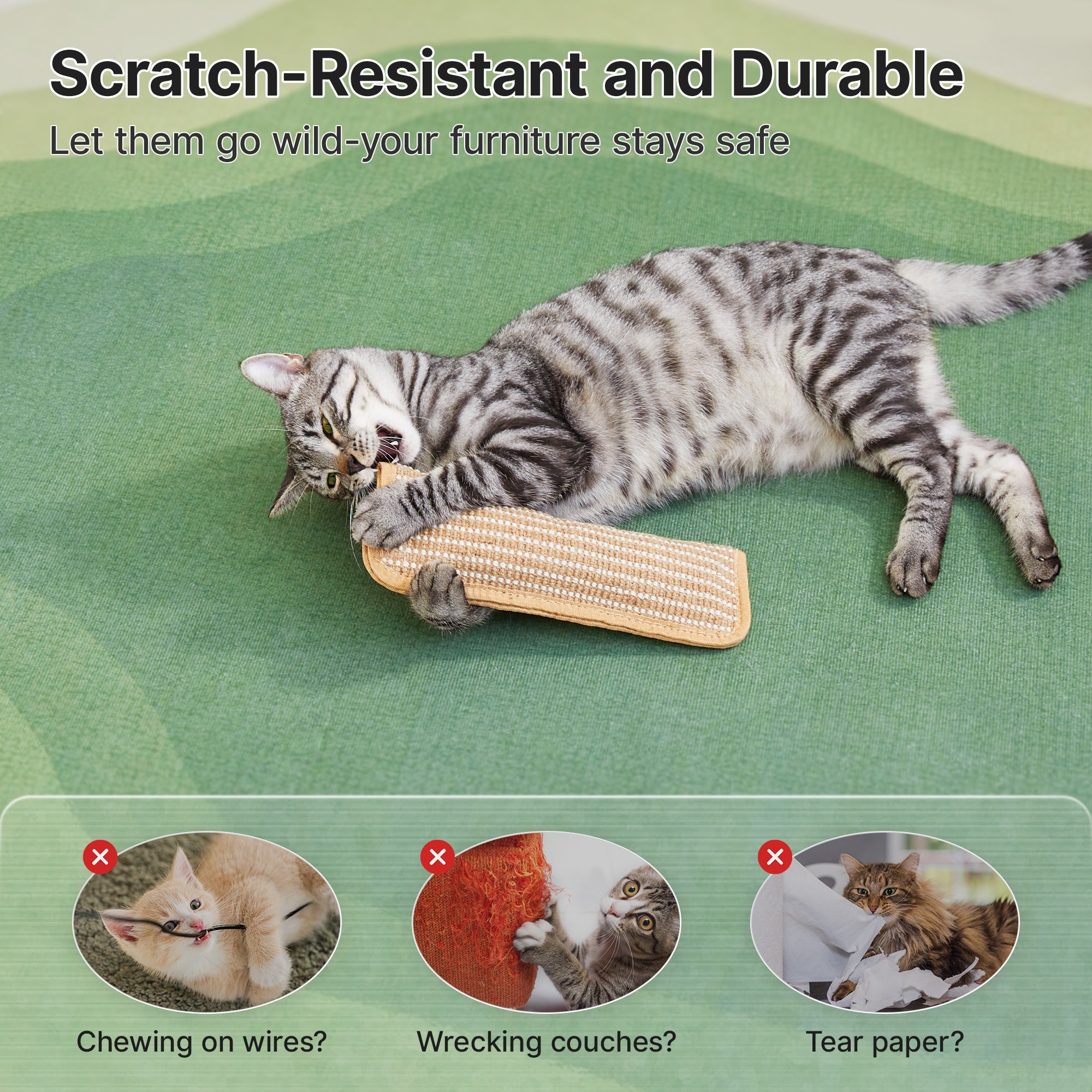 Petgrove Interactive Catnip Kicker Toy