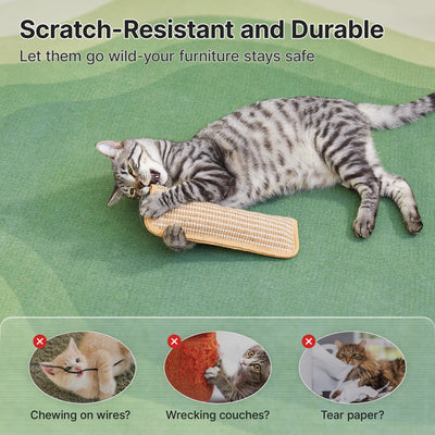 Petgrove Interactive Catnip Kicker Toy