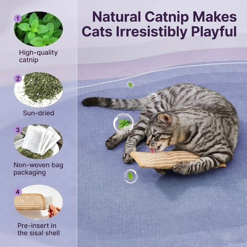 Petgrove Interactive Catnip Kicker Toy