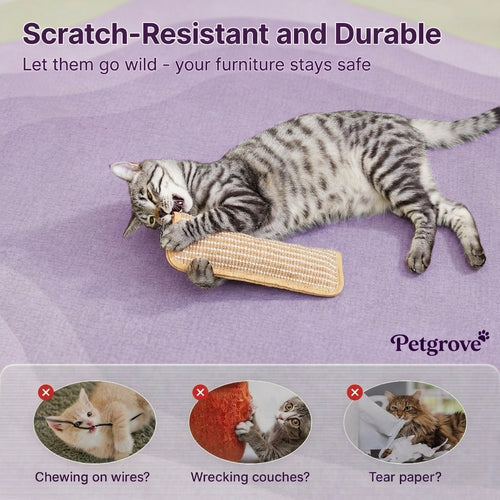 Petgrove Interactive Catnip Kicker Toy