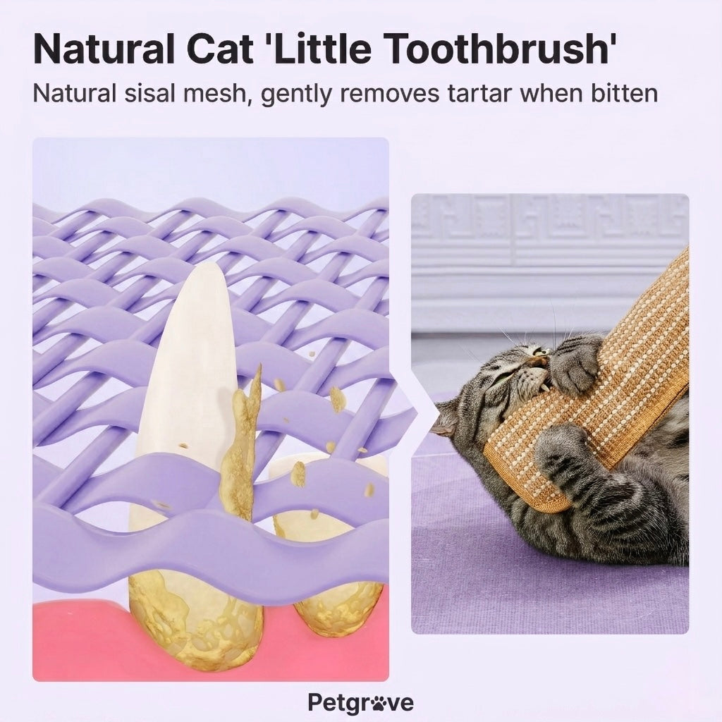 Petgrove Interactive Catnip Kicker Toy