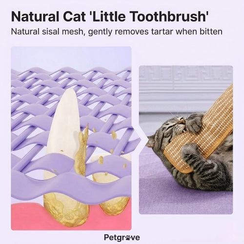 Petgrove Interactive Catnip Kicker Toy