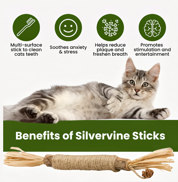 Petora™ Natural Silvervine Dental Sticks