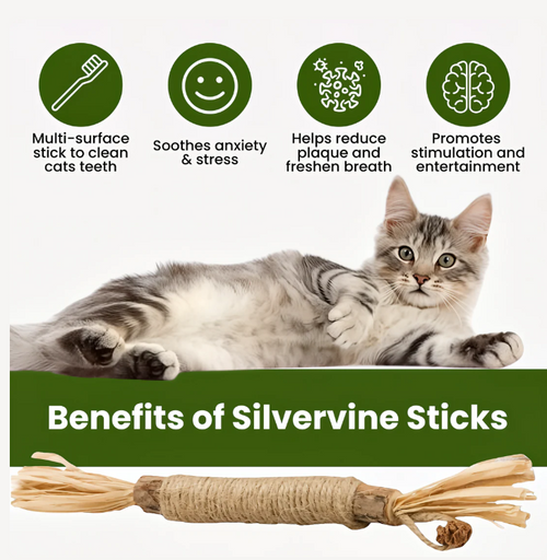 Petgrove™ Natural Silvervine Dental Sticks