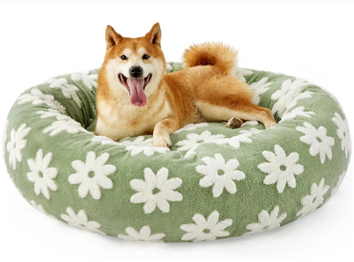 PetGrove™ Donut Dog Bed