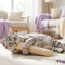 Petgrove Interactive Catnip Kicker Toy